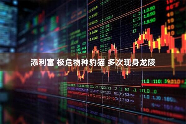 添利富 极危物种豹猫 多次现身龙陵