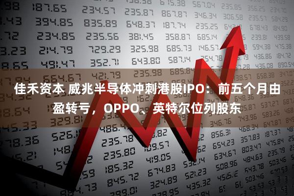 佳禾资本 威兆半导体冲刺港股IPO：前五个月由盈转亏，OPPO、英特尔位列股东